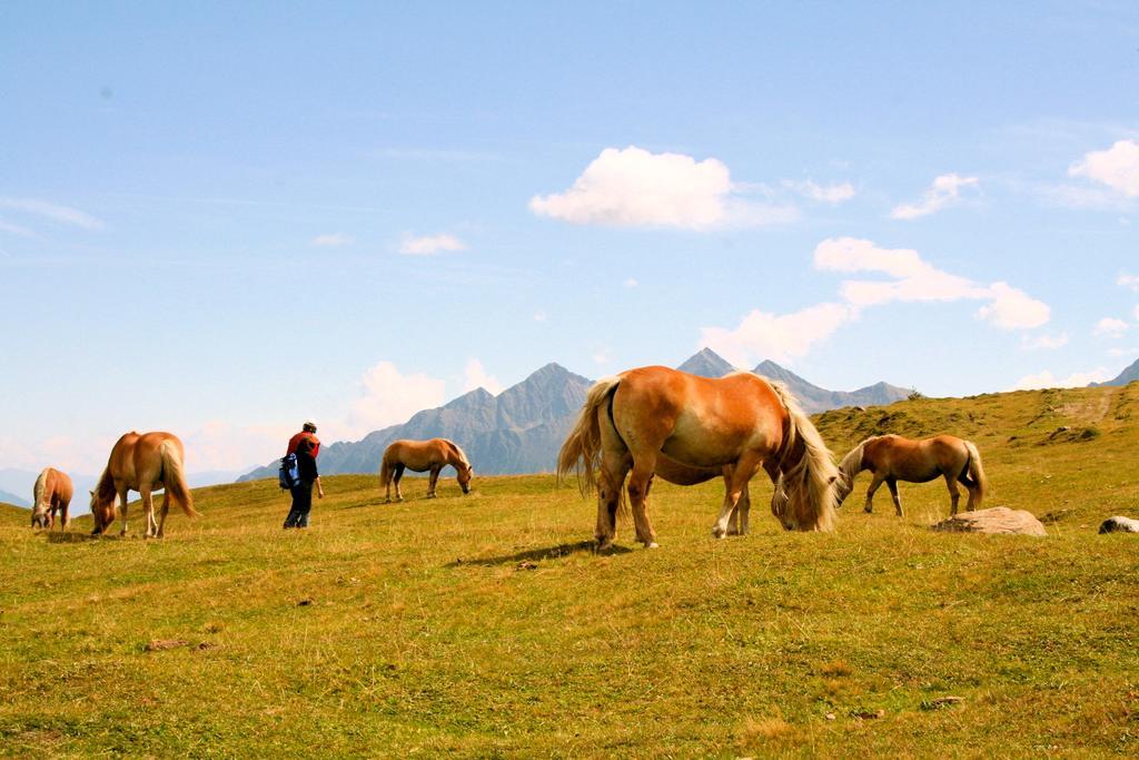 Hotel Laerchenhof Natur Зеефелд в Тирол Екстериор снимка