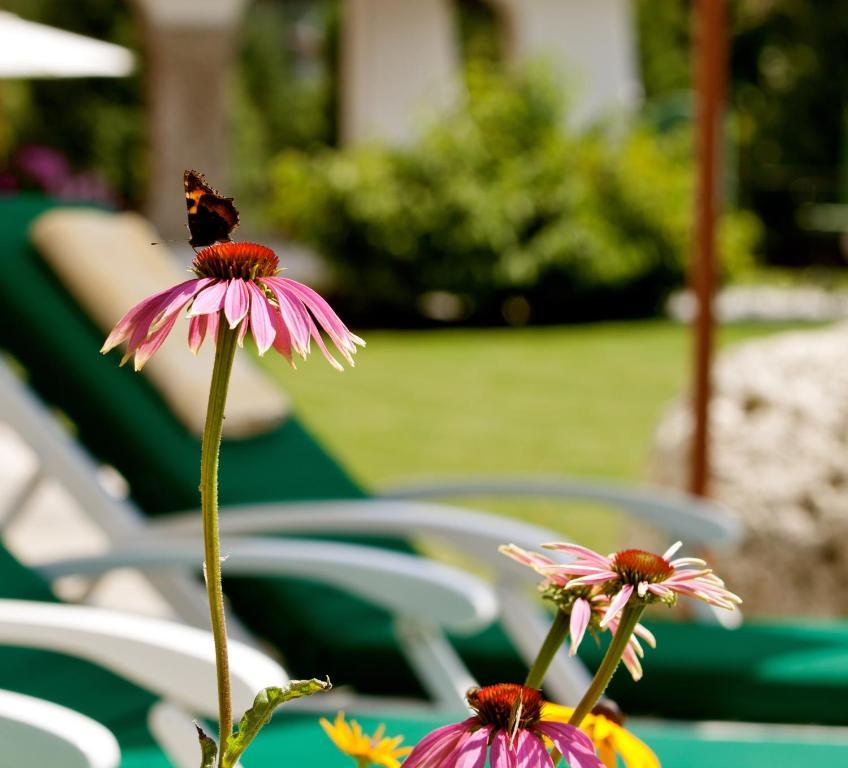 Hotel Laerchenhof Natur Зеефелд в Тирол Стая снимка
